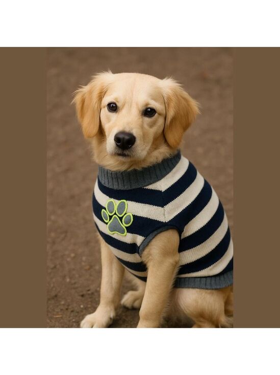 Other - Dog Outfit size Large